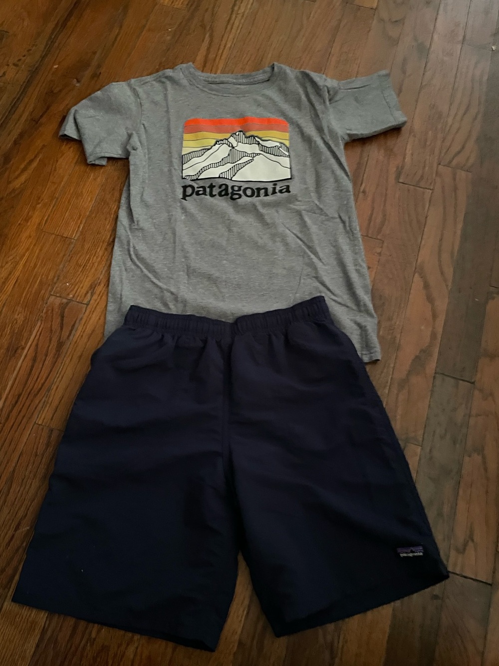 Patagonia shorts y shirt